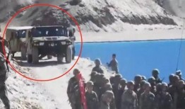 爆料空港大鲨鱼事件视频,神秘视频揭秘惊心动魄一幕