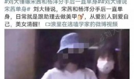 刘大锤爆料宋茜视频,揭秘明星幕后生活片段