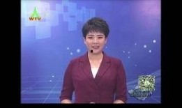 文安网友爆料新闻视频,最新新闻视频引发热议